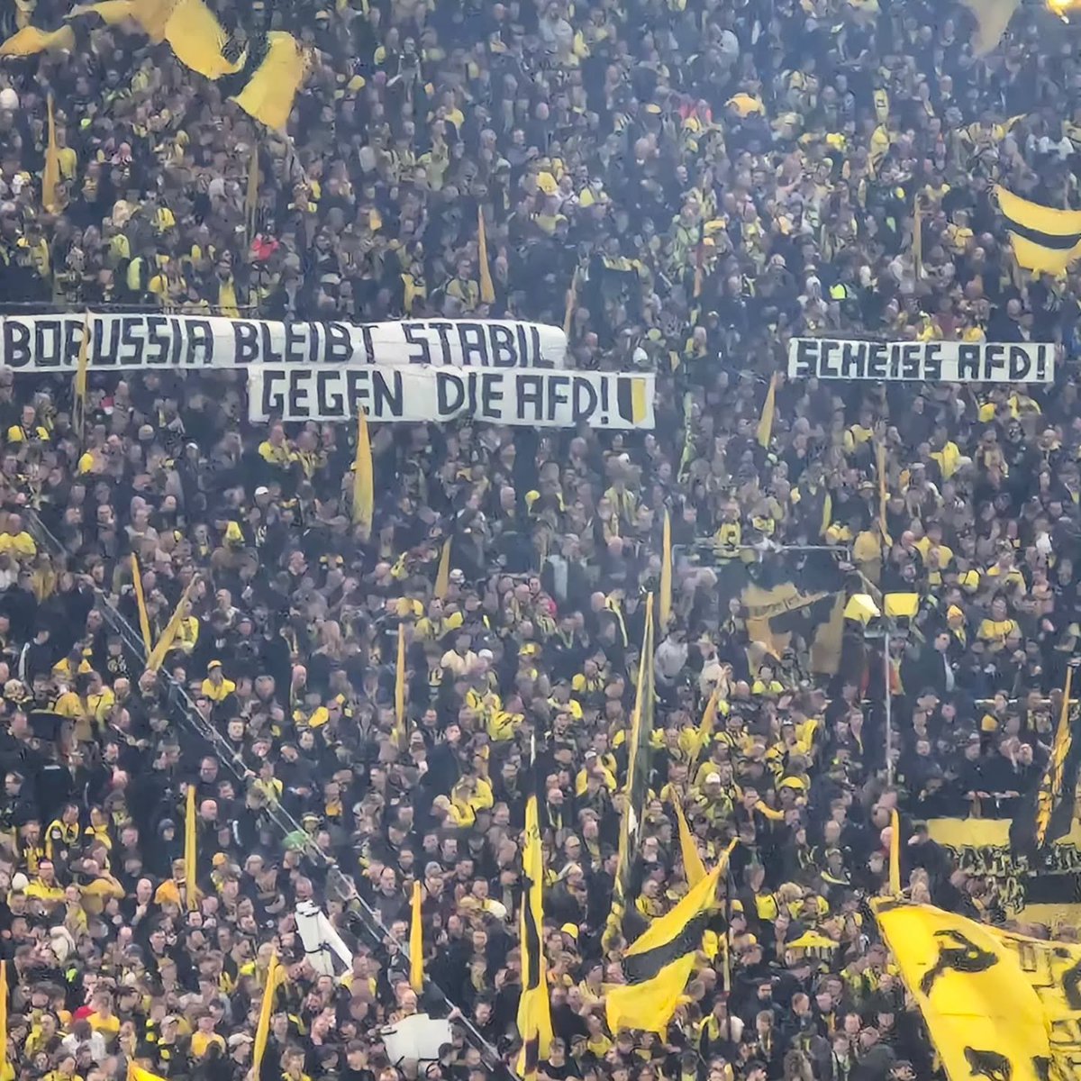 Borussia Dortmund ‼️