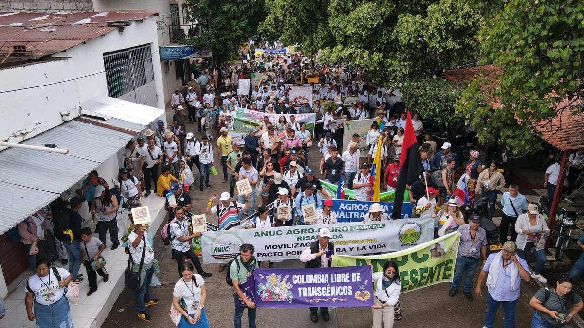 MinAgricultura's tweet image. 🧵1️⃣1️⃣ Recomposición y garantías para el ejercicio de los sistemas propios de conocimiento de los pueblos y las comunidades.🧶🗣️
1️⃣2️⃣ Transformación de economías en donde existen cultivos de uso ilícito de coca, marihuana y amapola.💰♻️