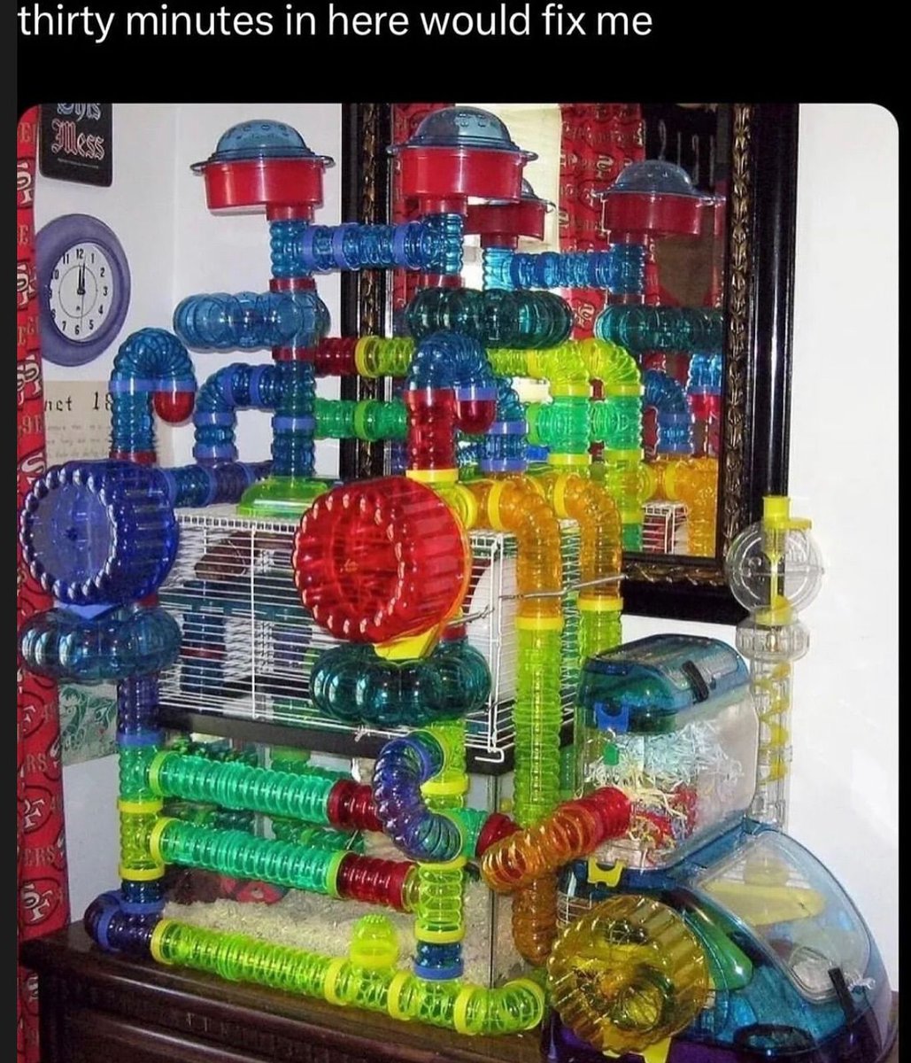 🕐HOURLY🕑 shitpost (@hourly_shitpost) on Twitter photo 