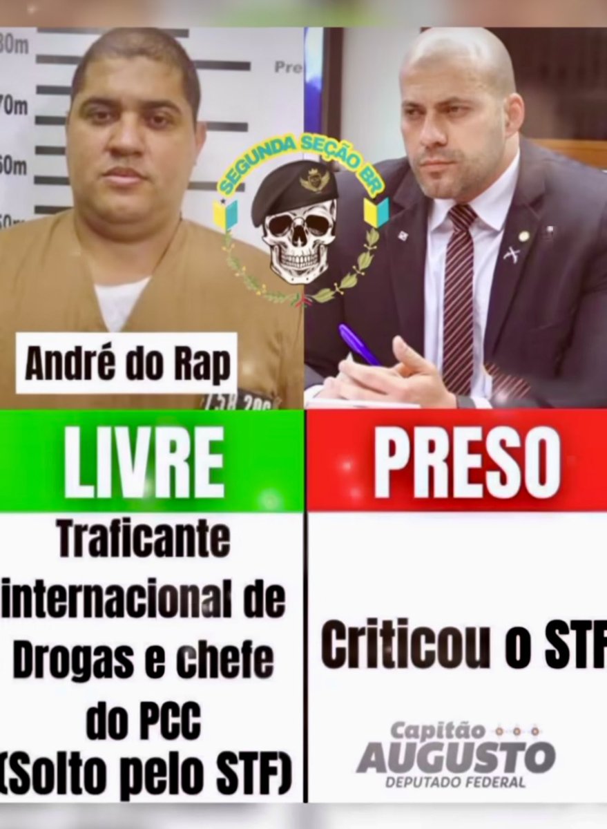 alicerdogia's tweet image. EIS O NOVO JUDICIÁRIO, protetor dos semelhantes.
