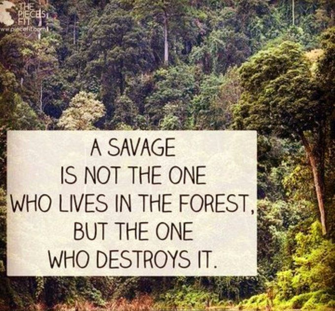 GO GREEN tweet media