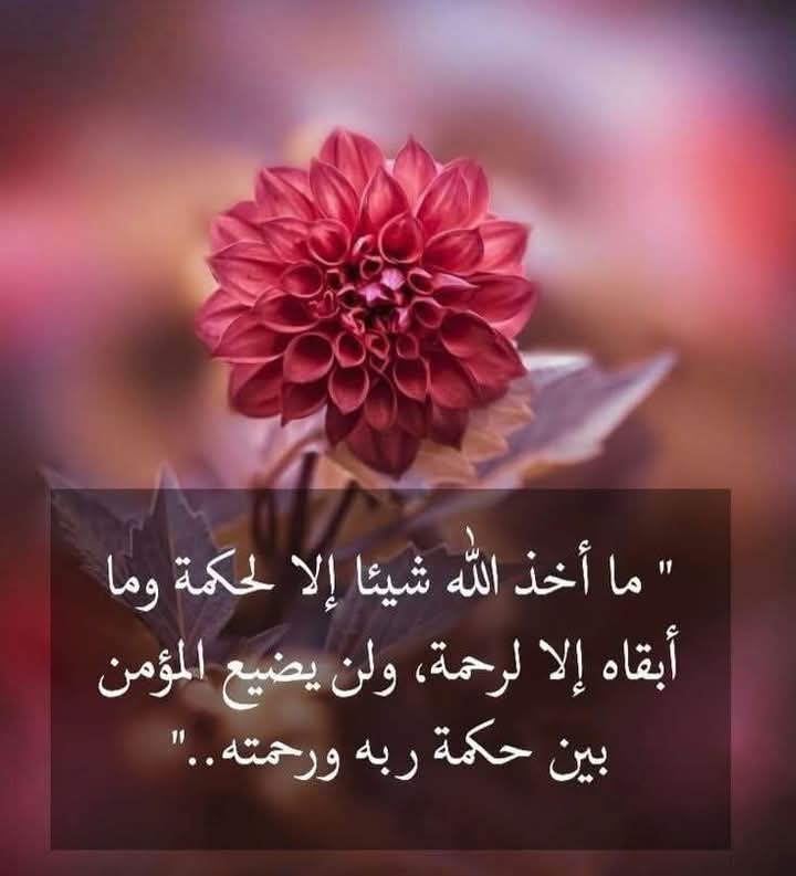 خالد الصالح (@kldll158633) on Twitter photo 