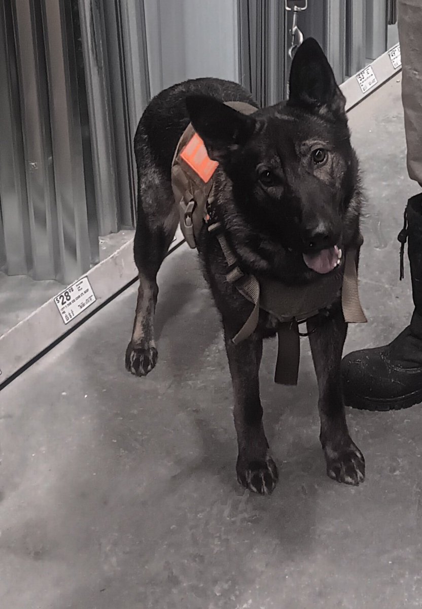 Happy birthday Sedona!