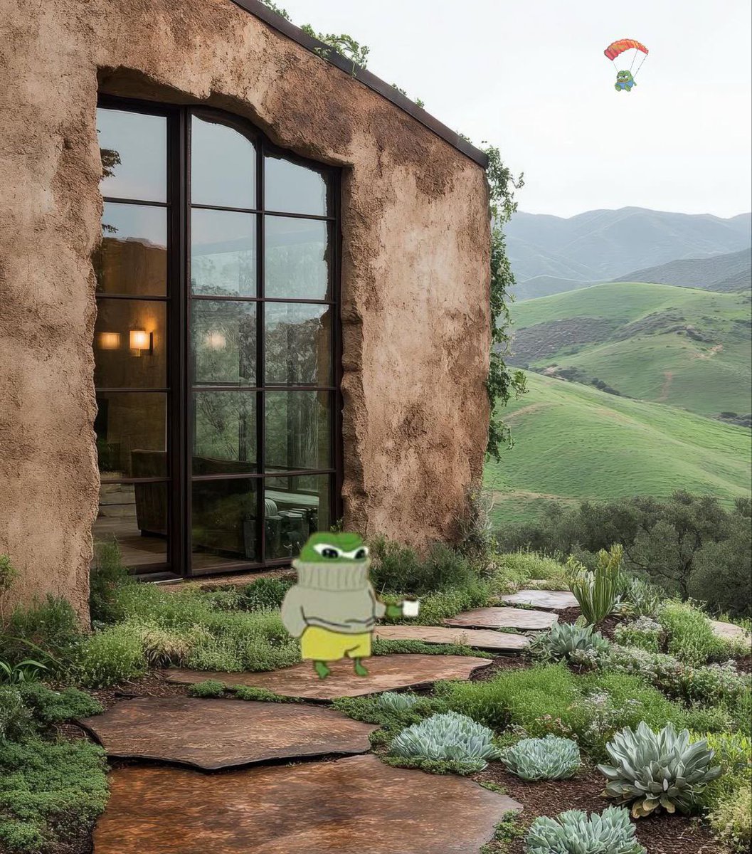 Hammer 🔨🐸 tweet media