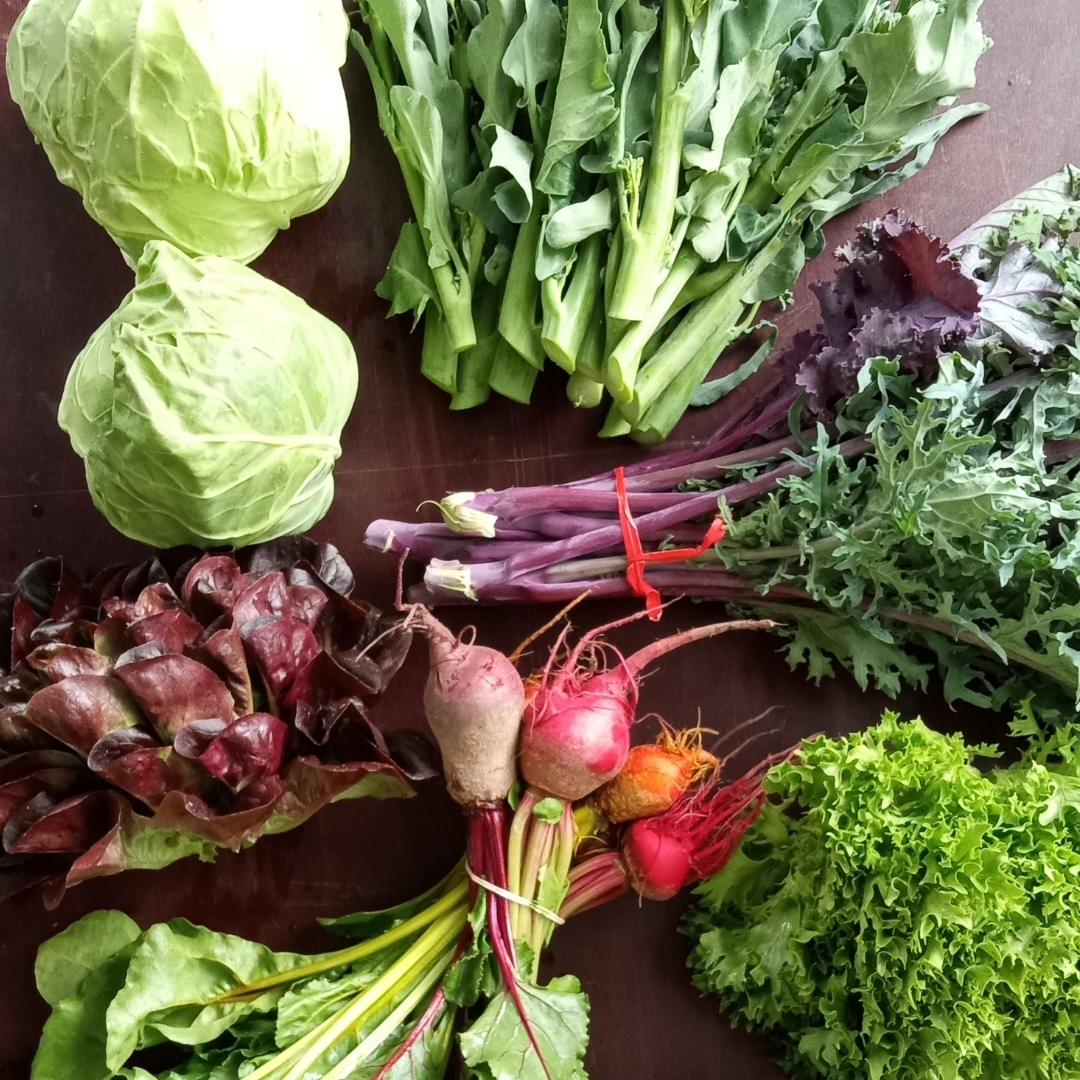 Today is the last day of #CSAWeek, and we are excited to feature a few more local CSA programs. One of our features today is Abundant Acre Family Farm 🍅

Read Abundant Acre Family Farm’s full feature: farmfolkcityfolk.ca/2025/02/csa-we…
