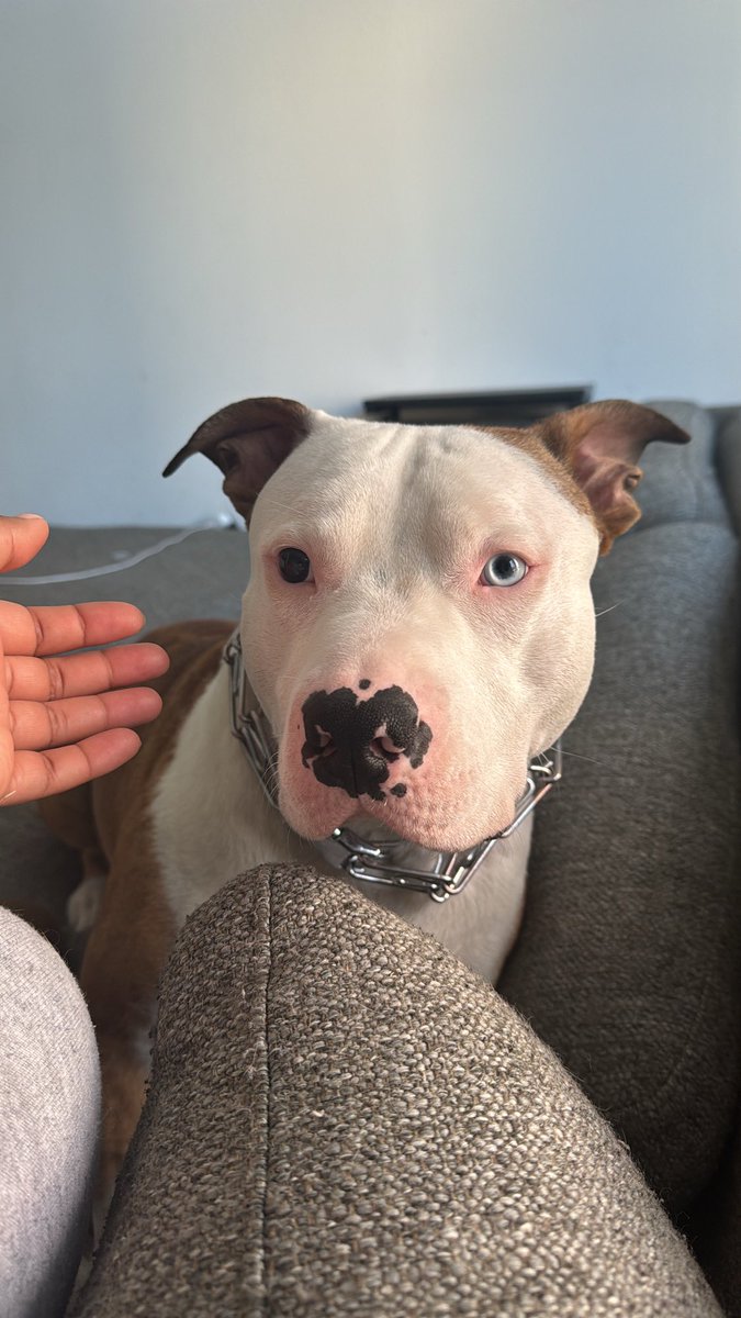 NEXT LEVEL BAE tweet media