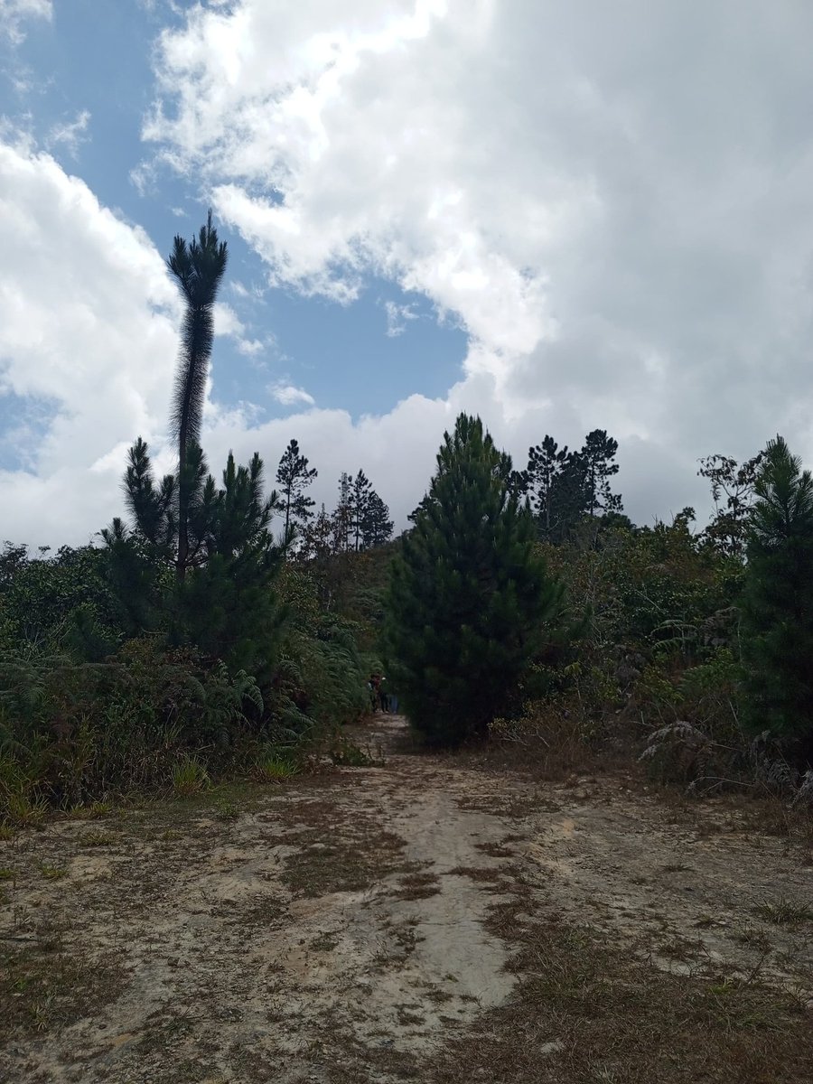 GE OIKOS tweet media