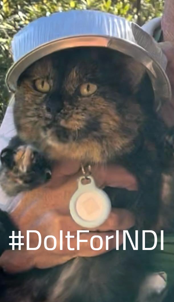 NickNoRugs's tweet photo. @indi_sonic #INDICLUB get in there! https://t.co/YZDTxjjzpj