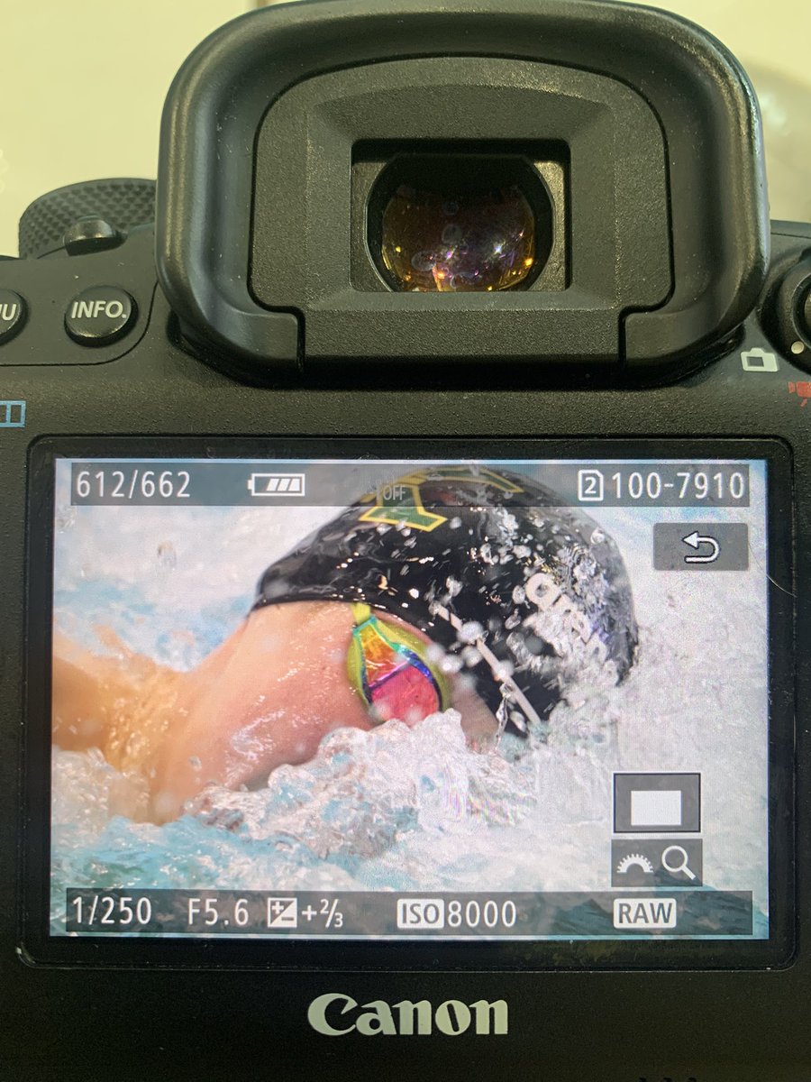 StXTigerSwim's tweet image. Theising, Rankin, &amp;amp; Von Allmen advance in the 100 Free!!! #ChipsCam