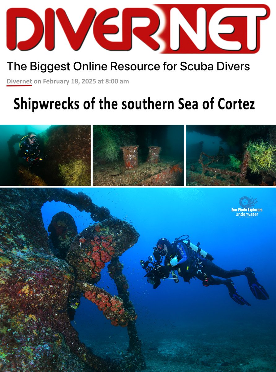 EPEDivers's tweet photo. Our latest published article can be viewed in DIVERNET Magazine

>>> Shipwrecks of the southern Sea of Cortez

Read the article at:
https://t.co/UDX7q9BCWT
https://t.co/kk8V0v775P

Subscribe to DIVERNET Magazine at:
https://t.co/kyozVpLmDC https://t.co/9lz1xcqPHE