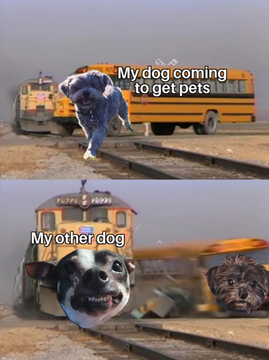 🤣