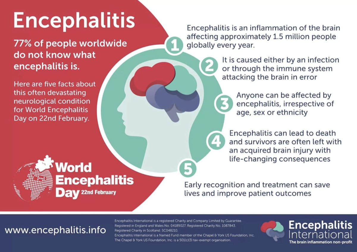 Roughly half of patients with encephalitis never know what caused it. We’re proud to be part of the community working to improve diagnosis and care for people with encephalitis. In honor of #WorldEncephalitisDay, take a moment to learn more about the condition from Encephalitis