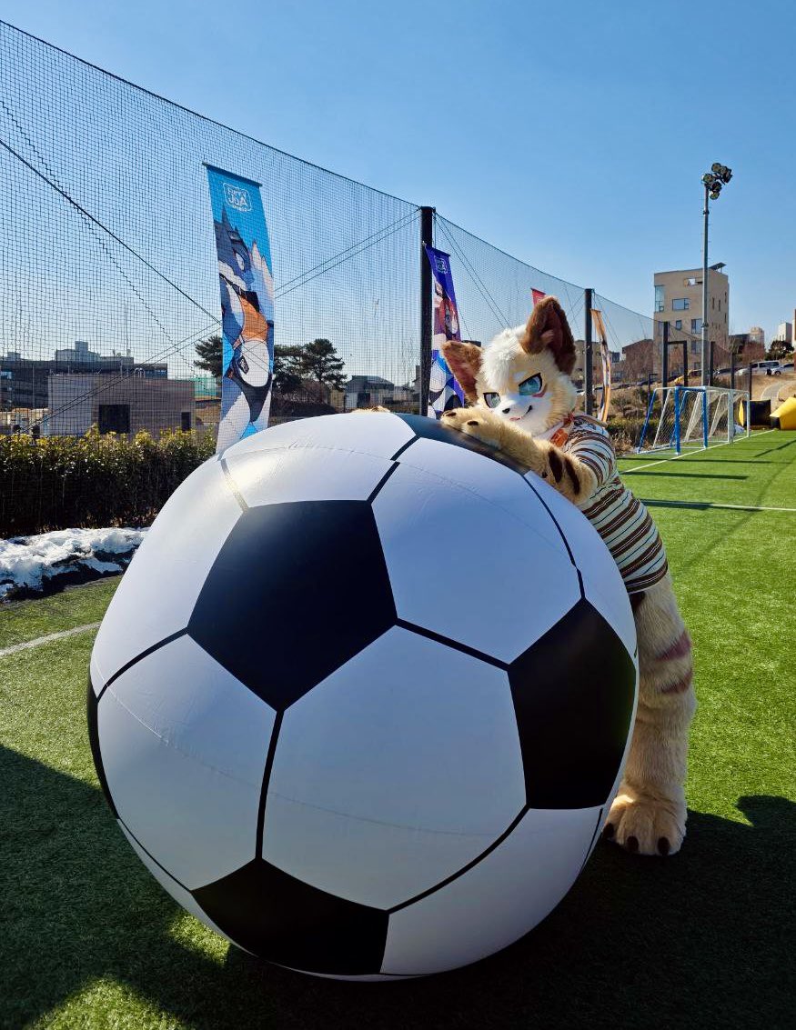 ⚽️