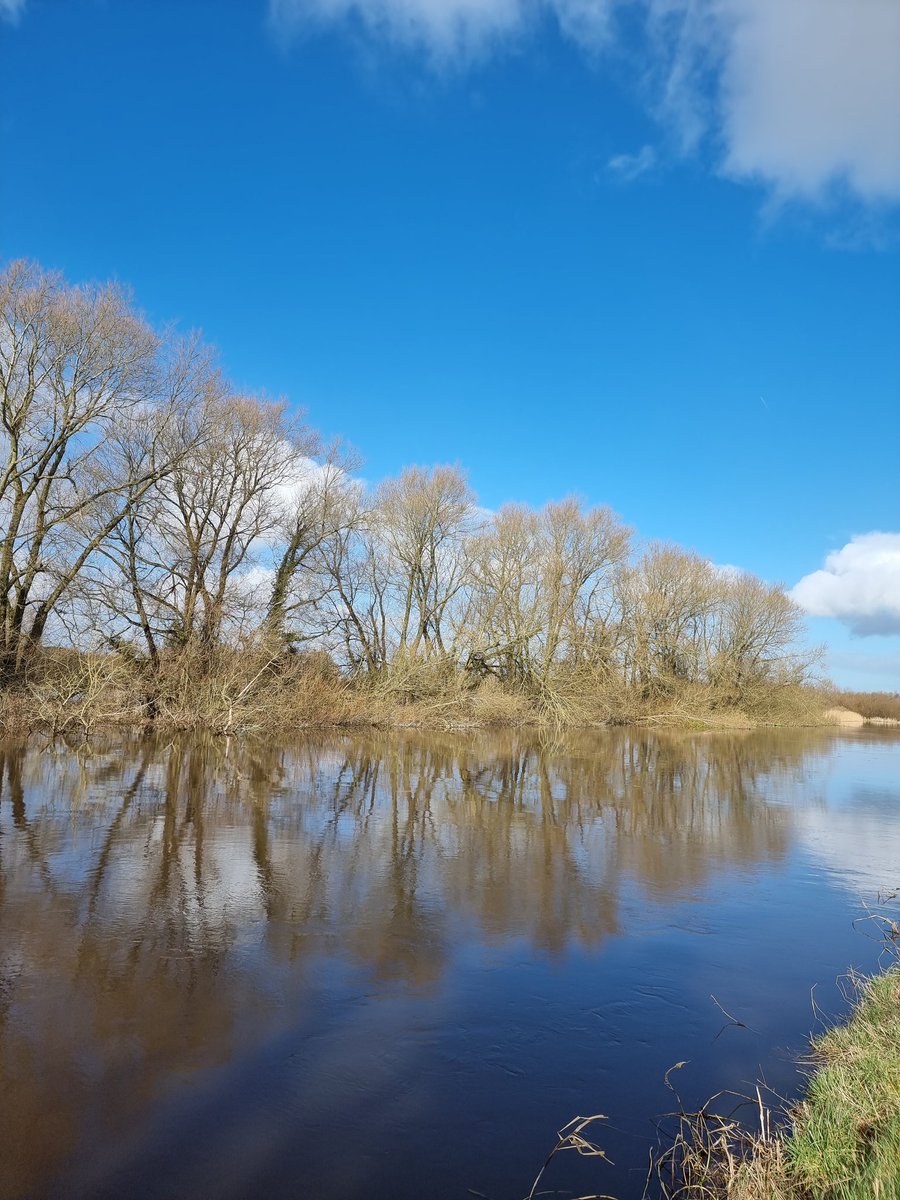 respecting nature tweet media