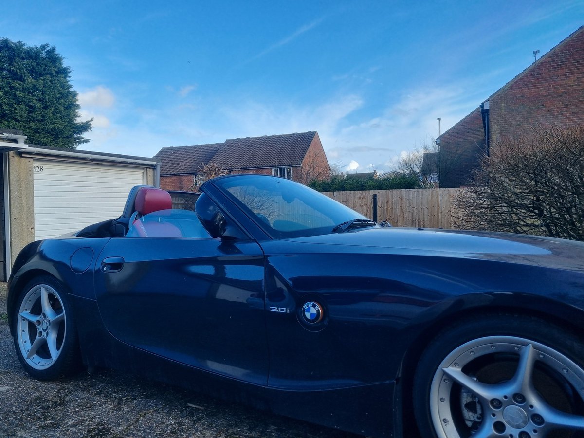 Janusxuk's tweet image. Spring is coming! #ItLives #FirstTurn #OnTheButton