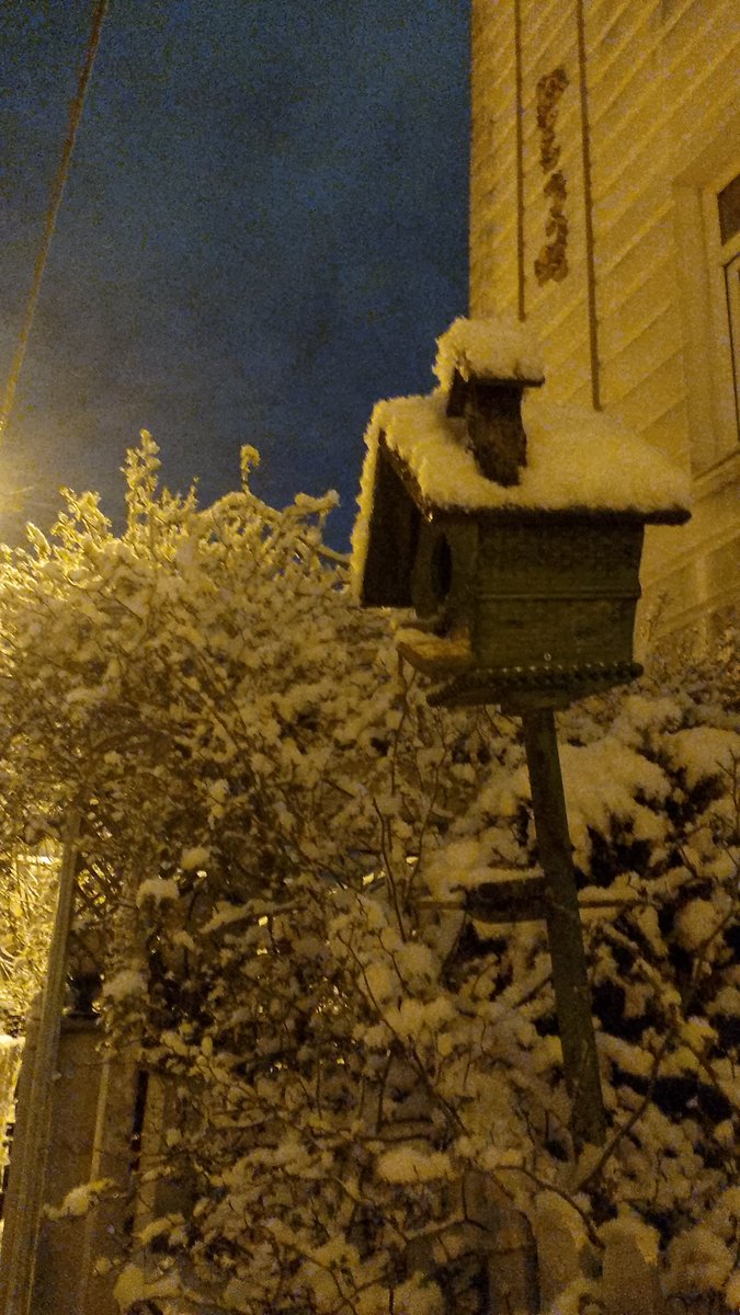 Özlemiştik :)🌨️