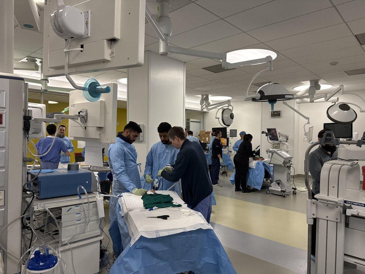 Eamonn Quigley (@eamonnquigleymd) on Twitter photo Full house at 2025 Underwood hands-on course at MITIE at Houston Methodist. Kudos to course director Dr Sunil Dacha and his colleagues from across the TMC. Full house at 2025 Underwood hands-on course at MITIE at Houston Methodist. Kudos to course director Dr Sunil Dacha and his colleagues from across the TMC.