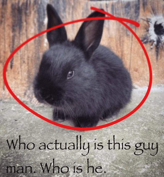 💜 eyvening 🐇 tweet media