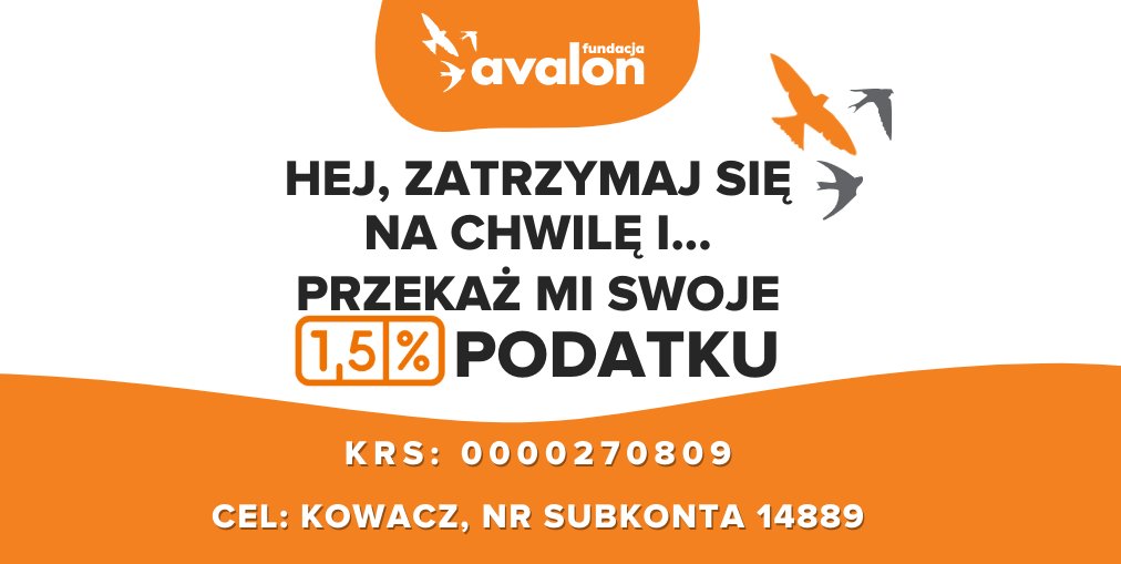 Bardzo proszę wszystkich o odpisanie dla mnie 1,5% od podatku. Dziękuję. fundacjaavalon.pl/nasi_beneficje…