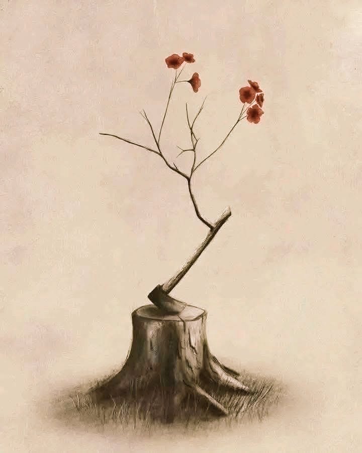 "يعلمك الألم كيف ، تعيد الأشياء إلى أماكنها الصحيحة "