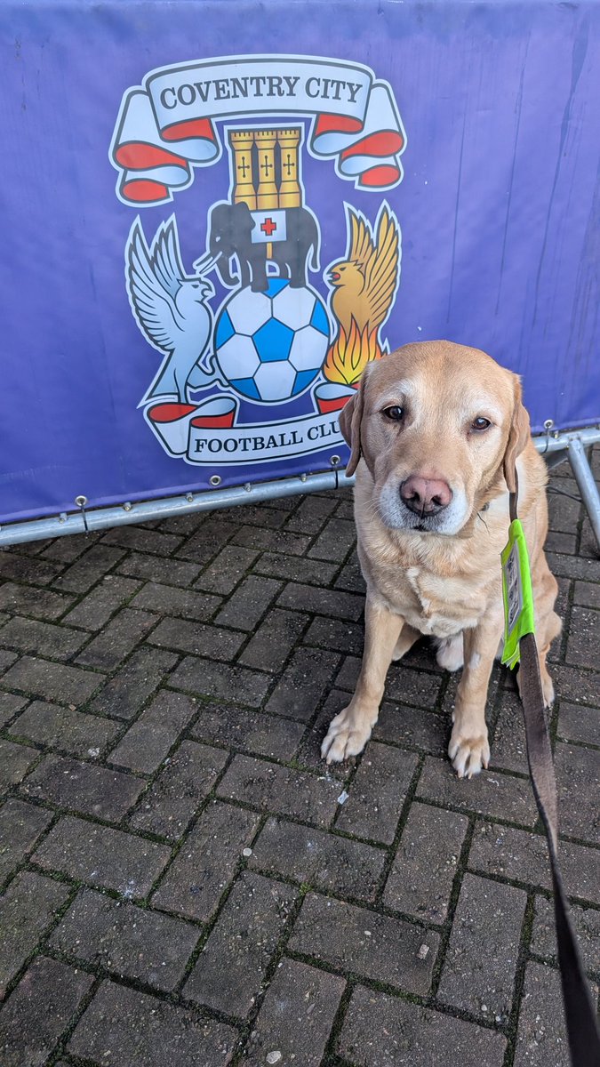 THANK YOU to everyone who donated to Coventry <a href="/guidedogs/">Guide Dogs</a> Fundraising Group today at the <a href="/Coventry_City/">Coventry City</a> football match <a href="/CBSArena/">Coventry Building Society Arena</a> A great final score!! 

We hope you enjoyed meeting these life changers! 
#PUSB #PawsUpSkyBlues