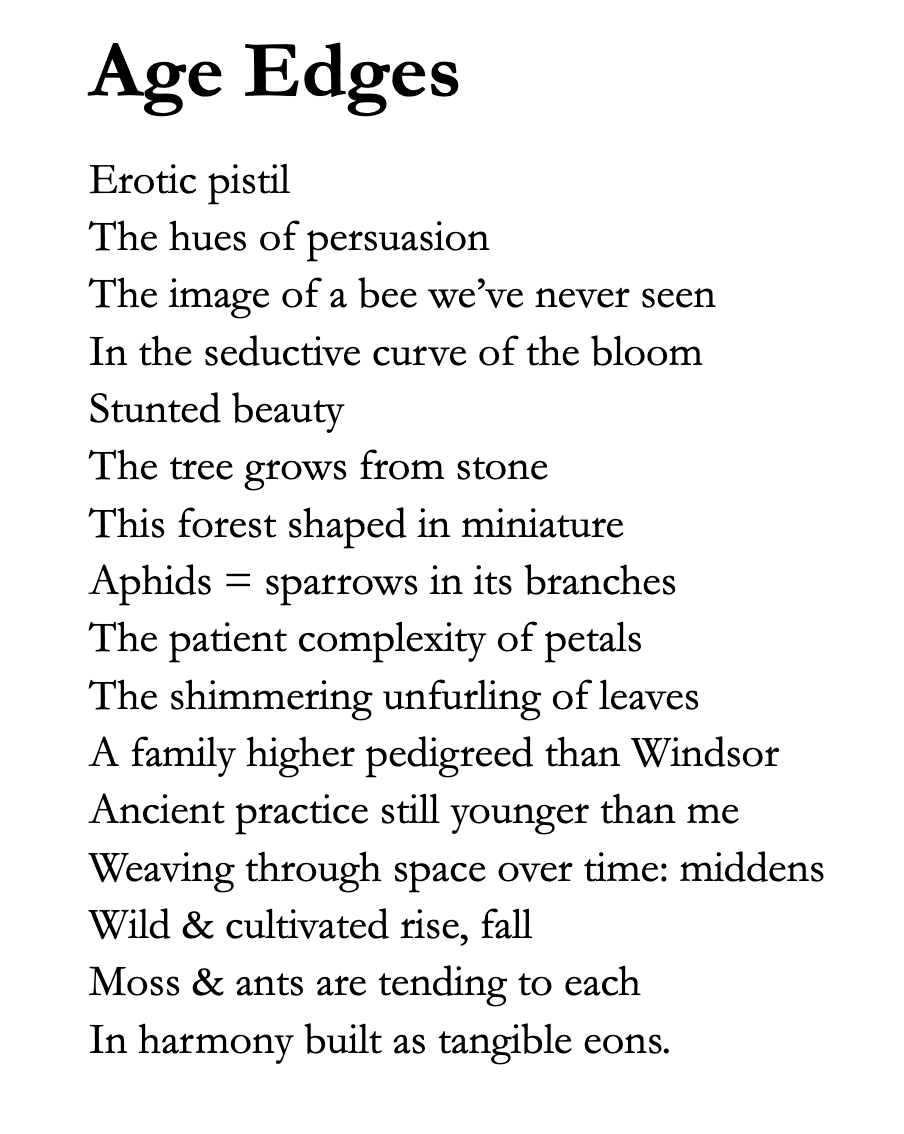 _AllenWarren_'s tweet image. Loved @PhippsNews's orchid and bonsai exhibit

(Also inspired by Donna Haraway's "Symbiogenesis, Sympoiesis, and Art Science Activisms")