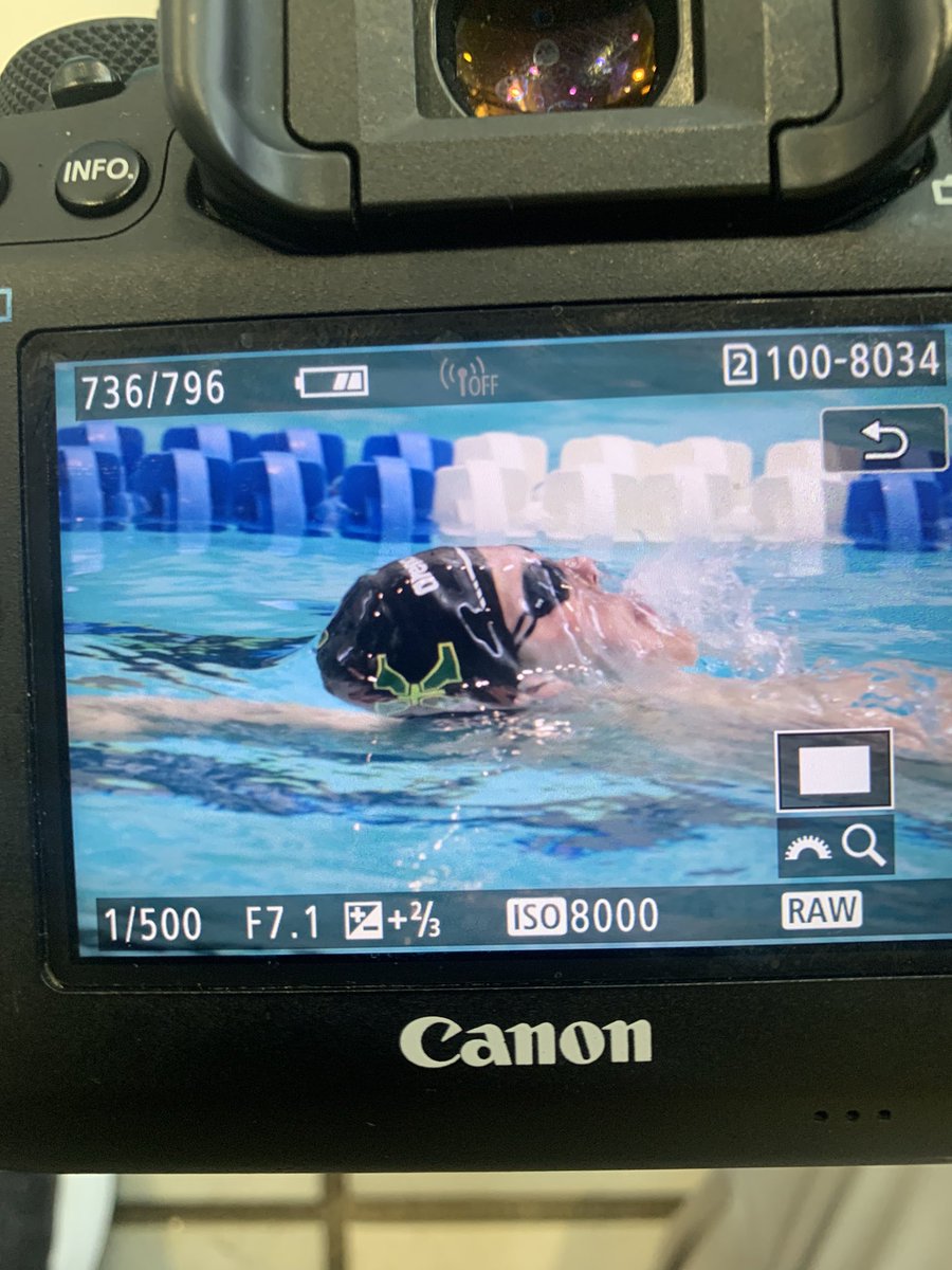 StXTigerSwim's tweet image. Mercer, Moter, Theuer, &amp;amp; Logsdon will be back tonight in the mens 100 Back!!! #ChipsCam