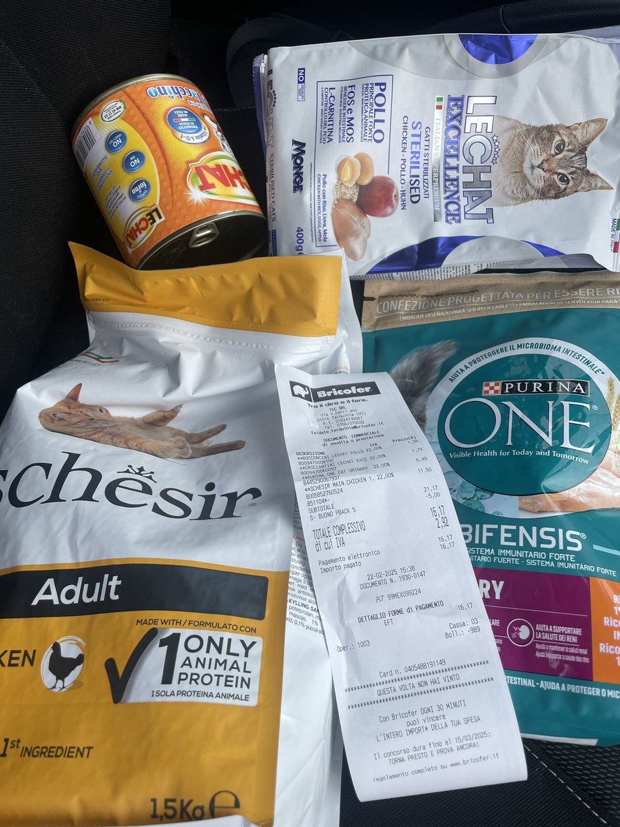 😻I PELOSETTI DEL MARE😻 In ricordo di Zenzero ❤️ tweet media