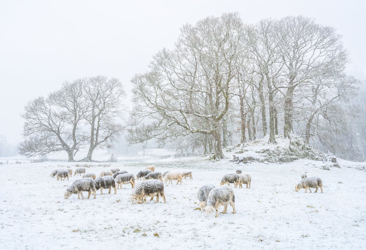nigeldanson's tweet image. Winter in the Lake District
