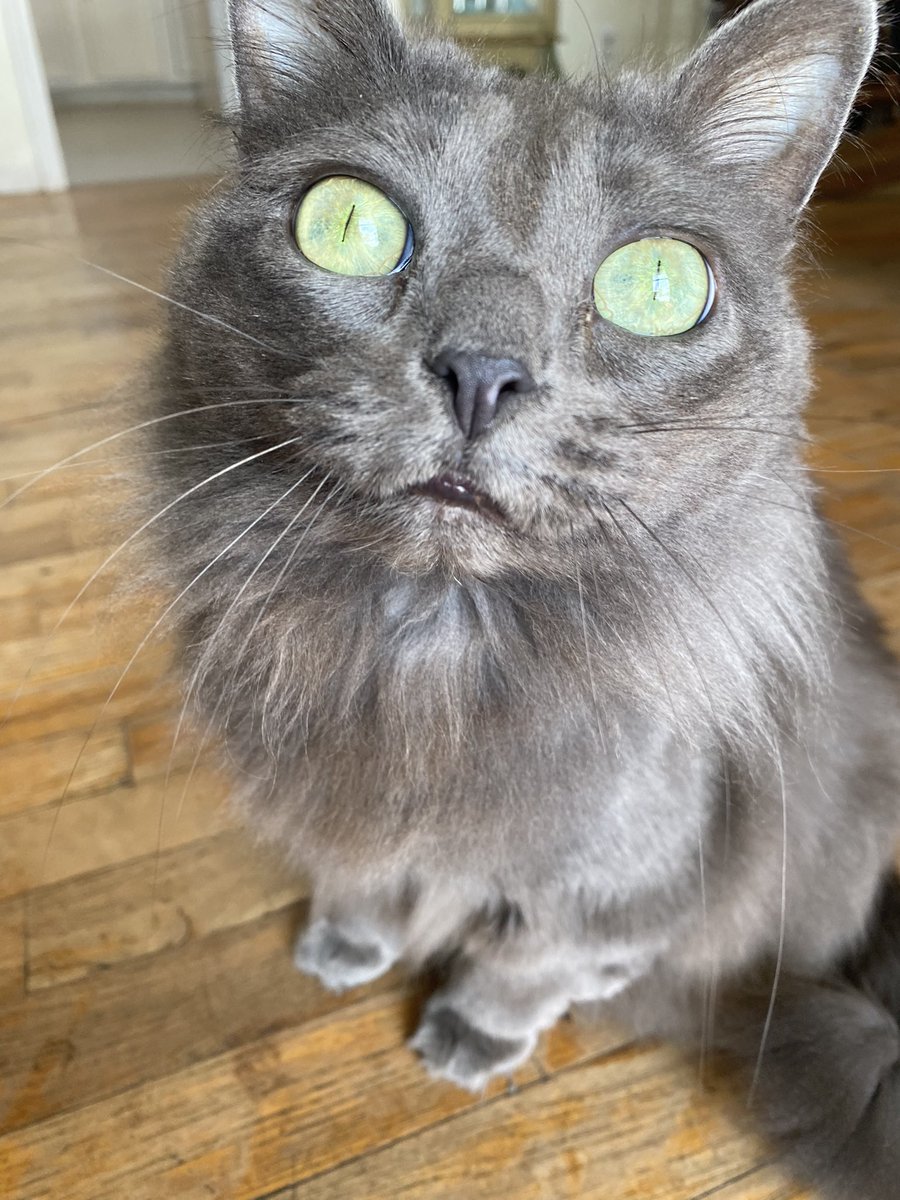 The better to see you with…