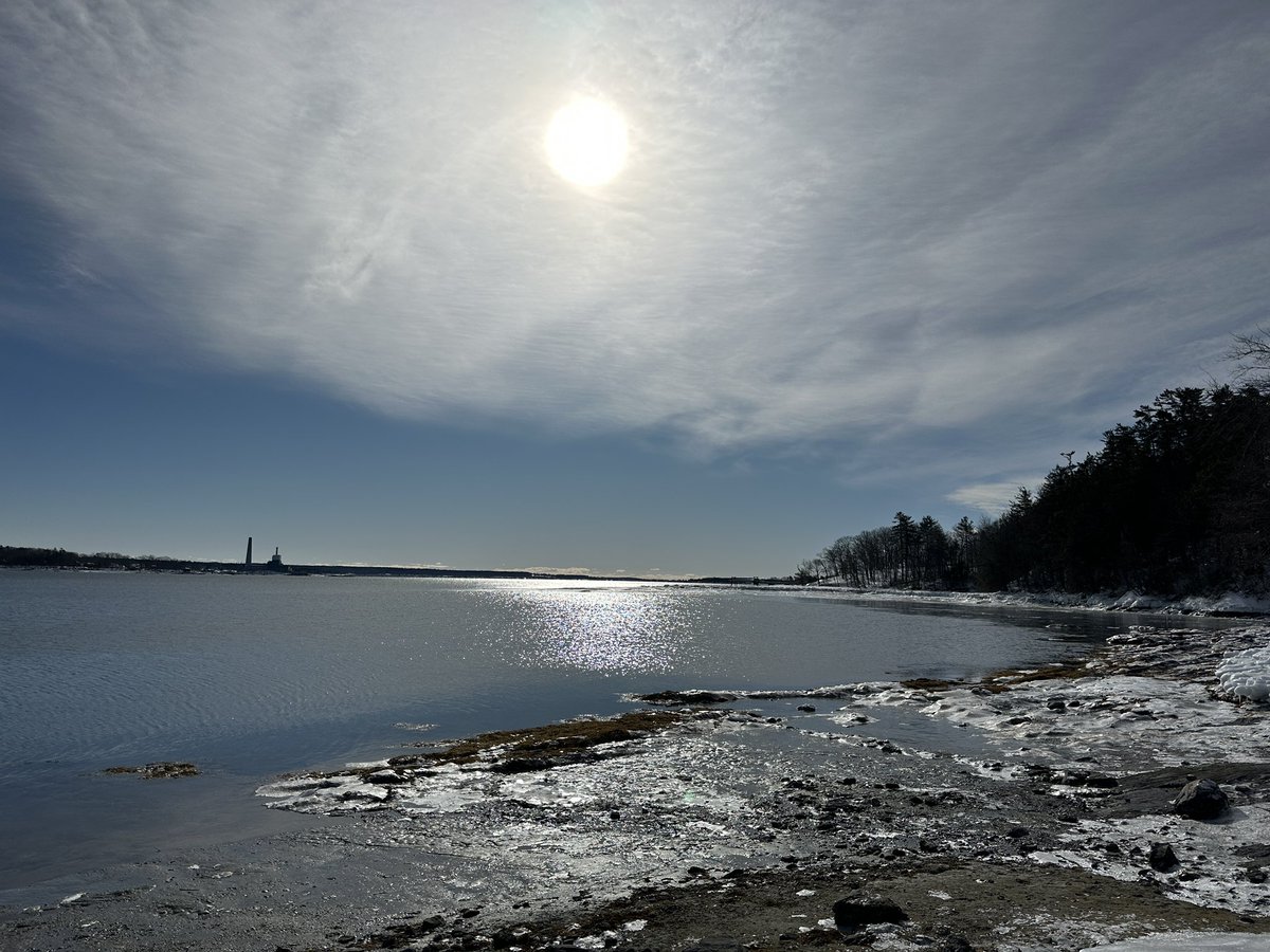 Patrick Whittle tweet media