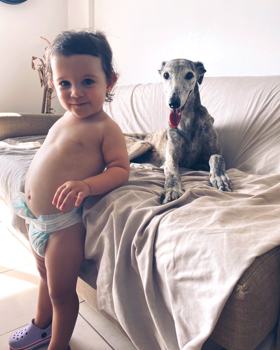 vir_brenta's tweet photo. “Chicas, mírenme que les saco una foto” https://t.co/VE3JfRPqfJ