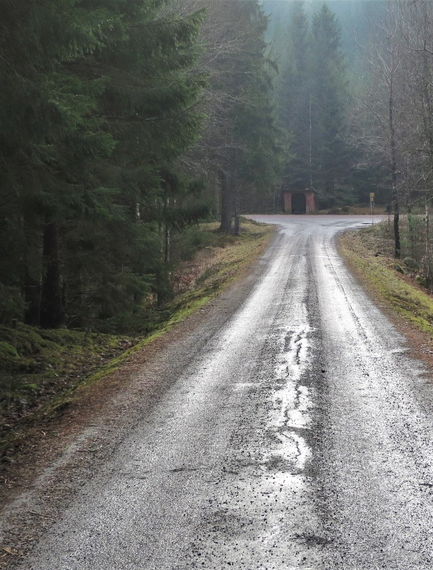 Man kommer till ett vägskäl, jag gick vidare rakt fram!