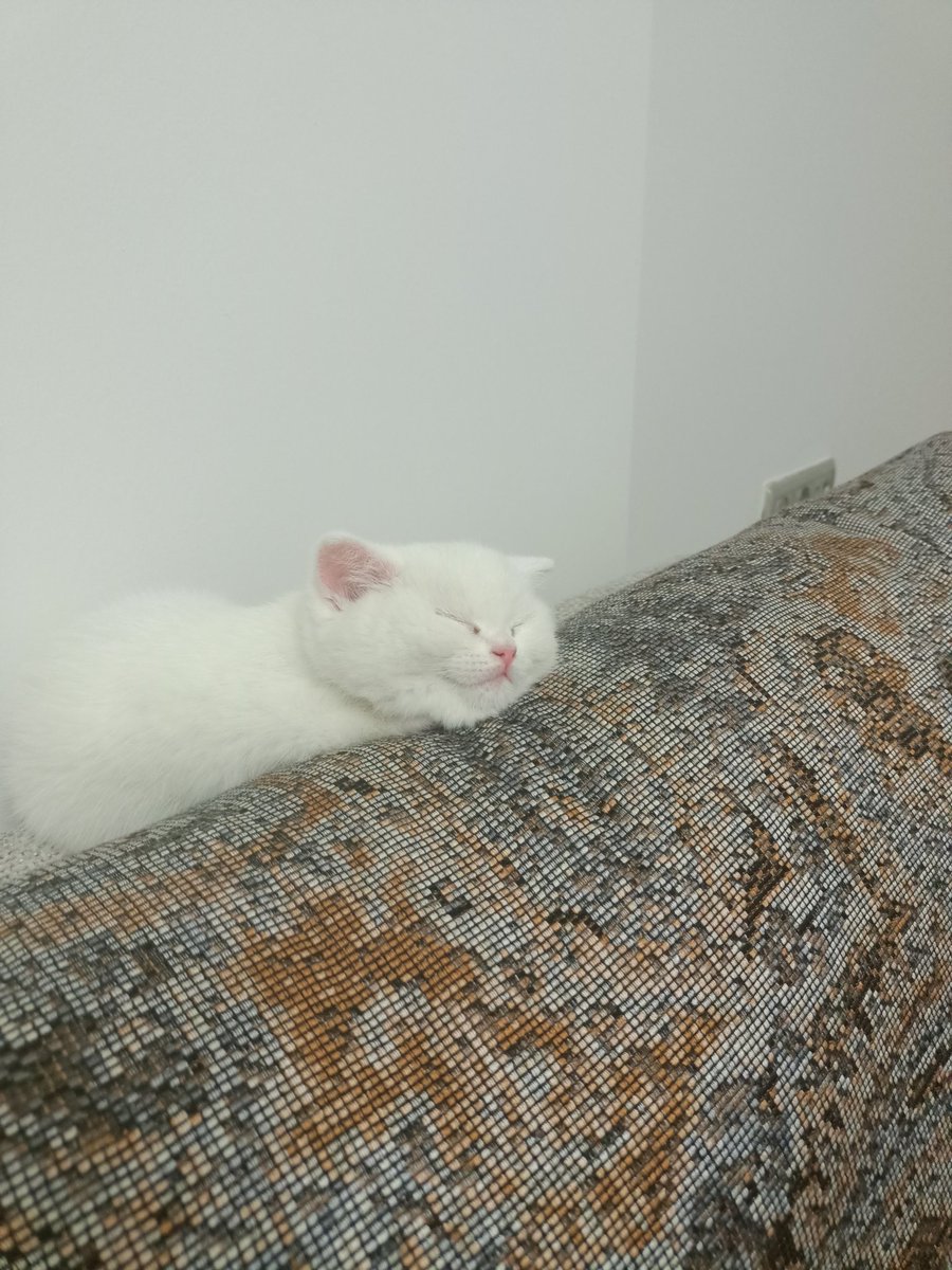 Bu nasıl bir uyuma şeklidir Yatağı da var illa burada yatacak