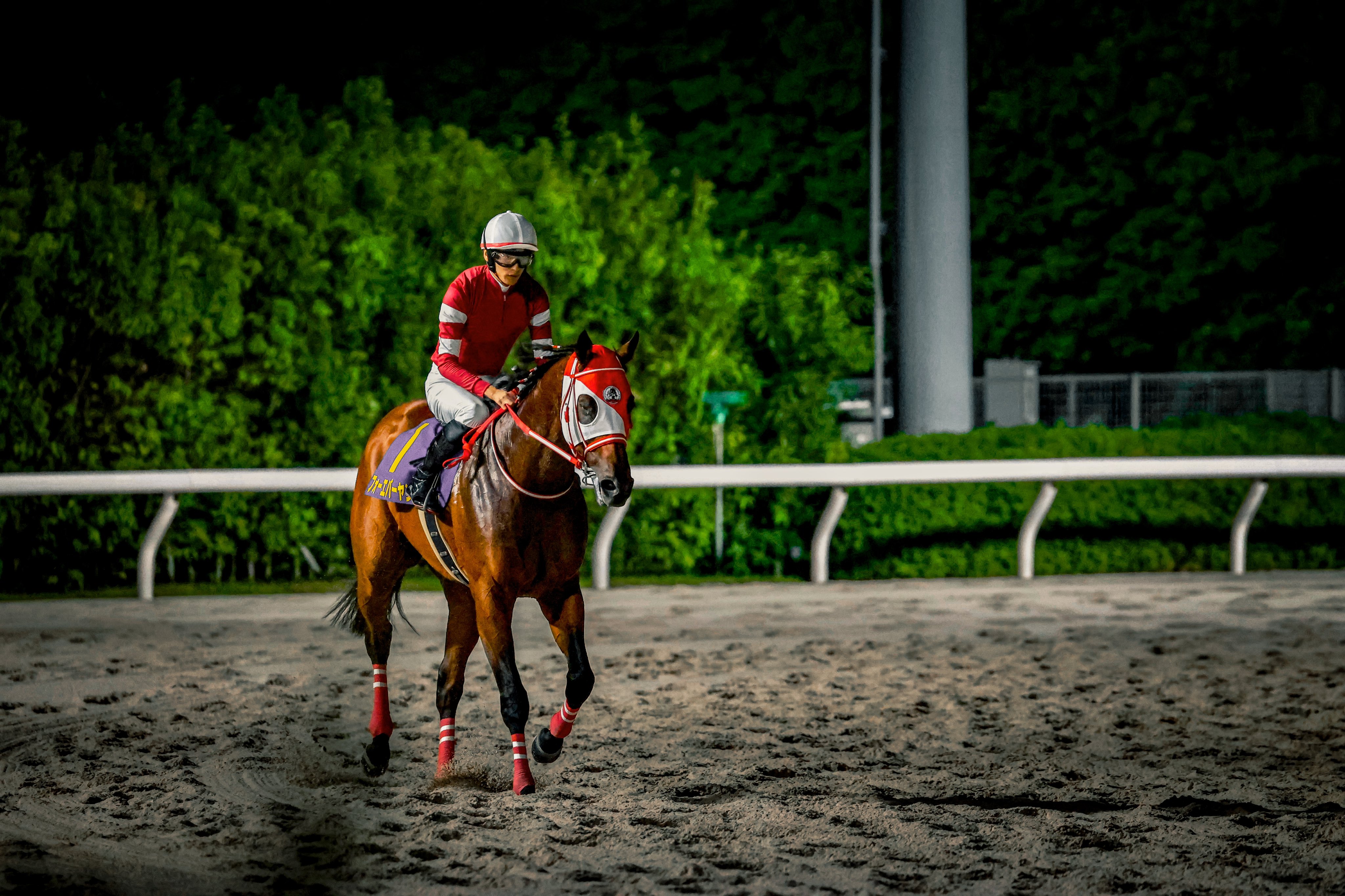 テレビ東京公式競馬チャンネル on X: 