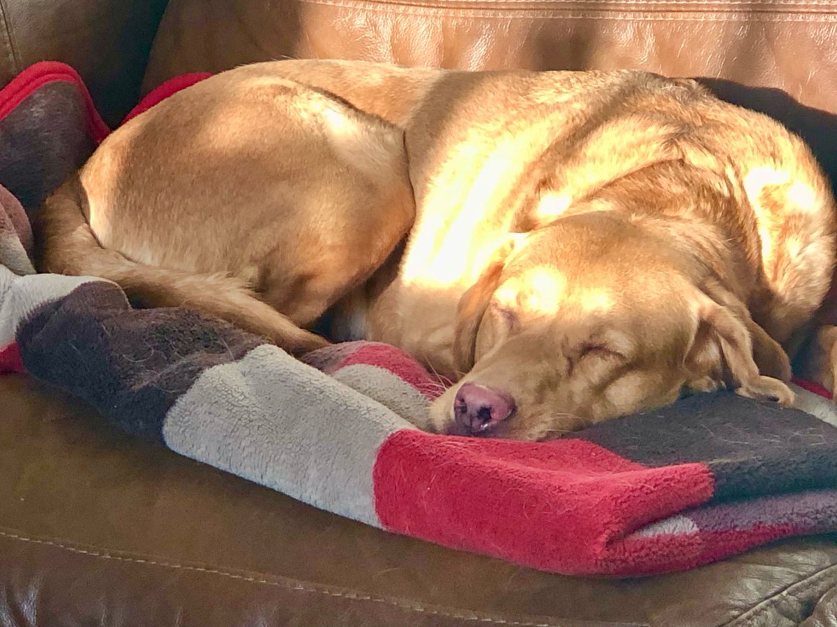 Eight years old today!🥰