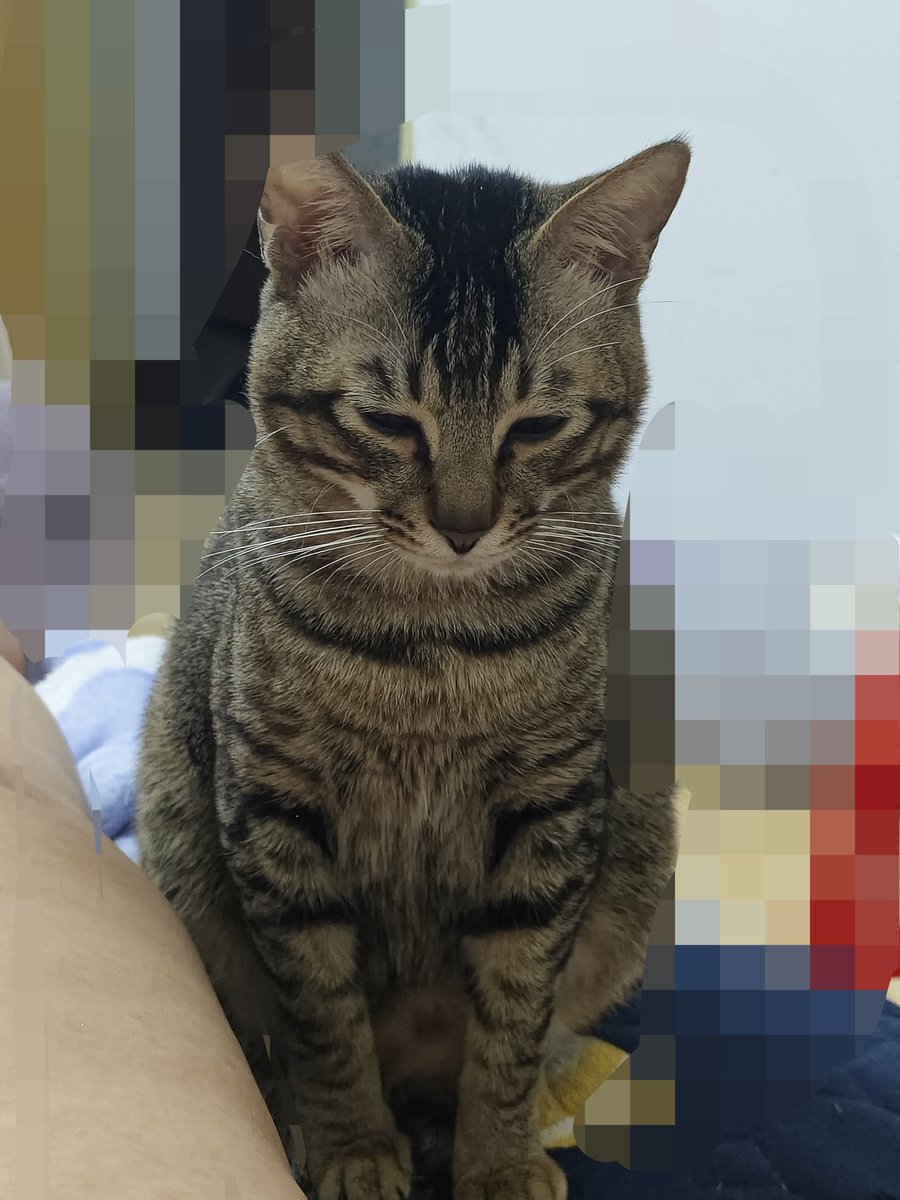 l慢慢喜欢你 tweet media