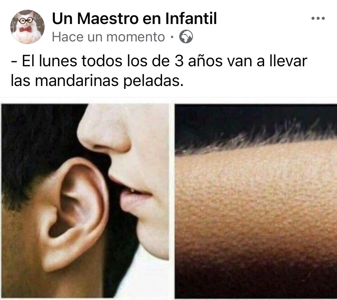 Un maestro en Infantil tweet media