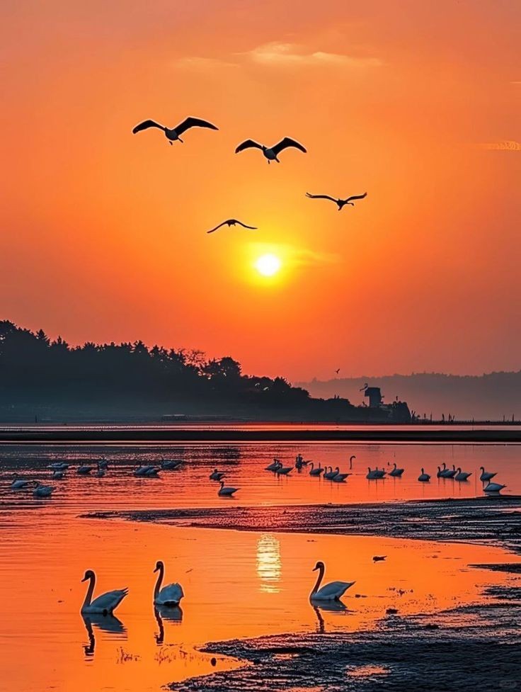 Feliz tarde/noche 
Good evening/night 🧡