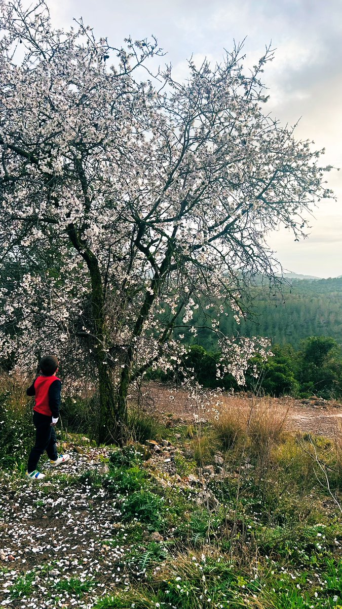 guillcastro's tweet photo. Parc del Garraf https://t.co/xjwnf0n8DV