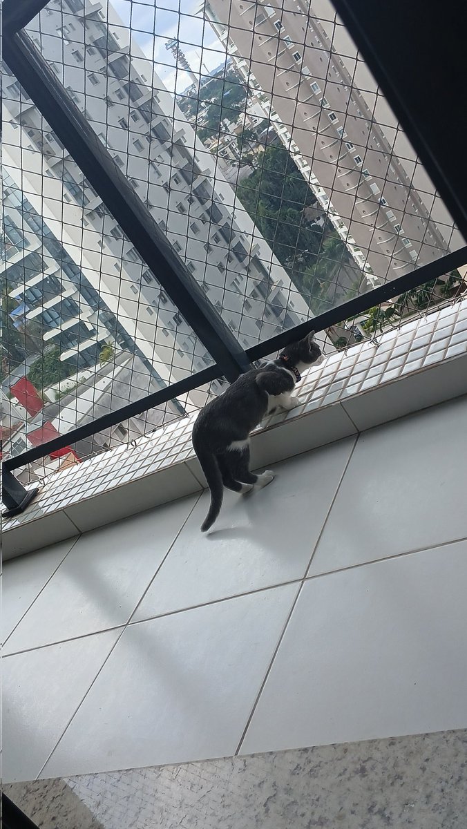 rayxwr's tweet photo. fofoqueiro igual a mãe dele https://t.co/BZ27PKv7WV