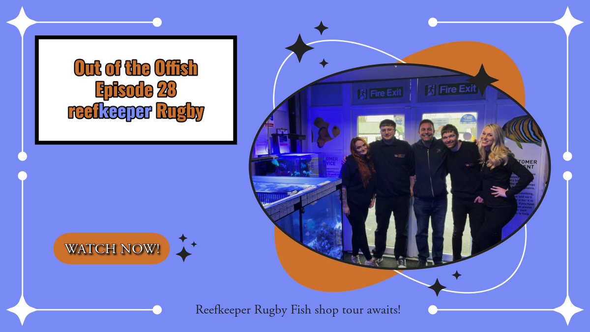 TropicalMarine's tweet image. Out of the Offish With Colette Episode 28 - Reefkeeper Rugby Fish shop tour
Click here to watch youtu.be/QX2rjve9ziA

#Reef #reeftanksofinstagram #coralreef #reeftank #instareef #reefgeek #instagood #reefaddict