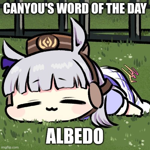 Canyou ⚜️ tweet media