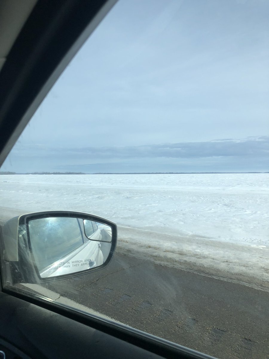 splendorousceliac tweet media