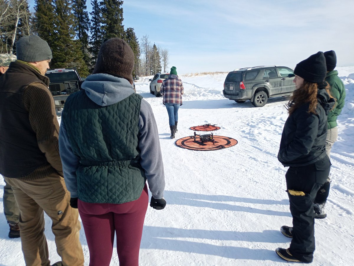 Mathieu Pruvot tweet media