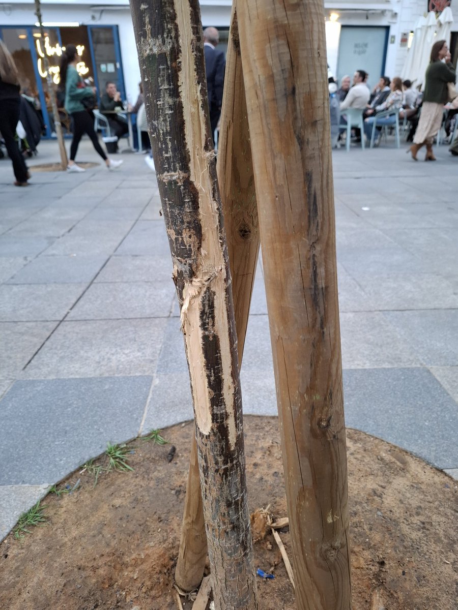 David López tweet media