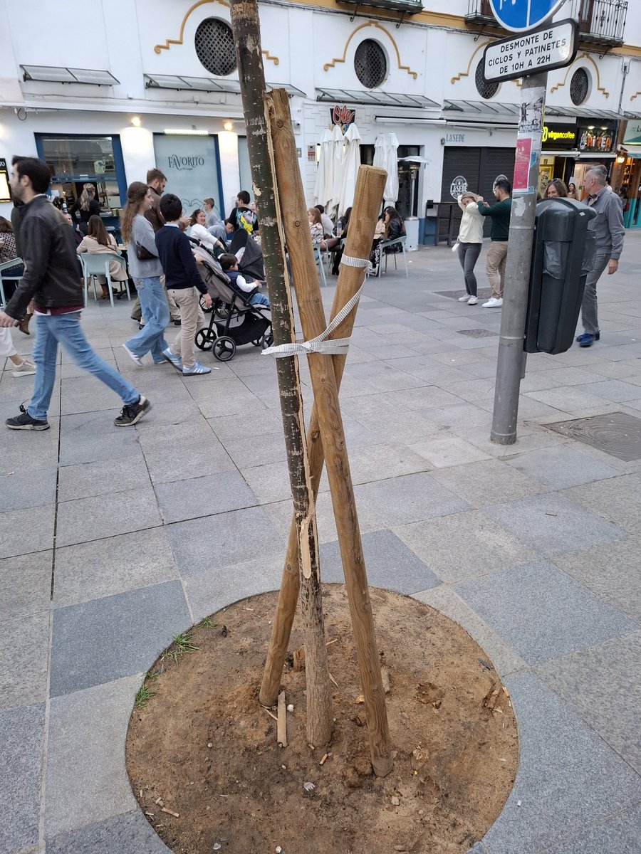 David López tweet media