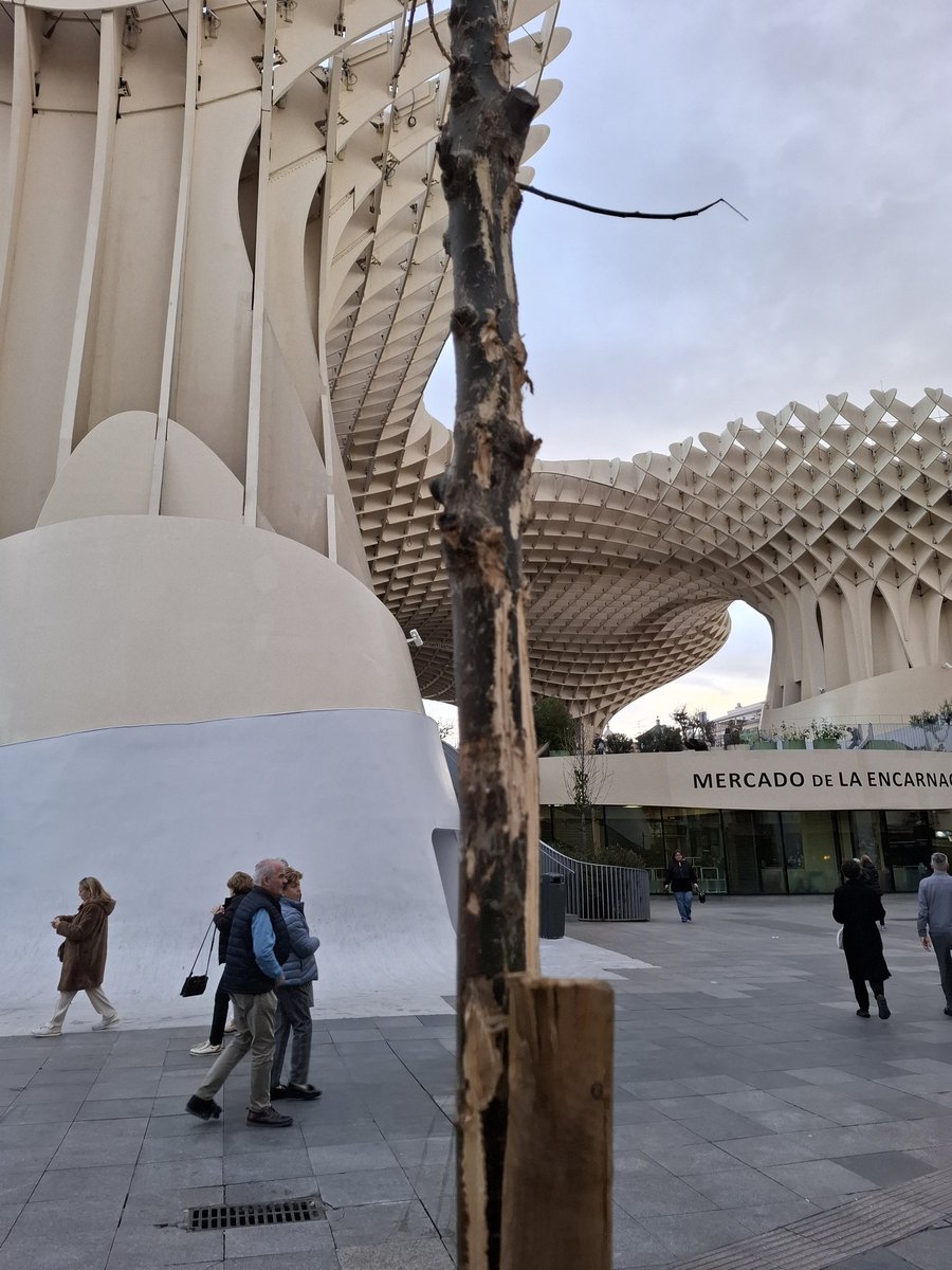 David López tweet media