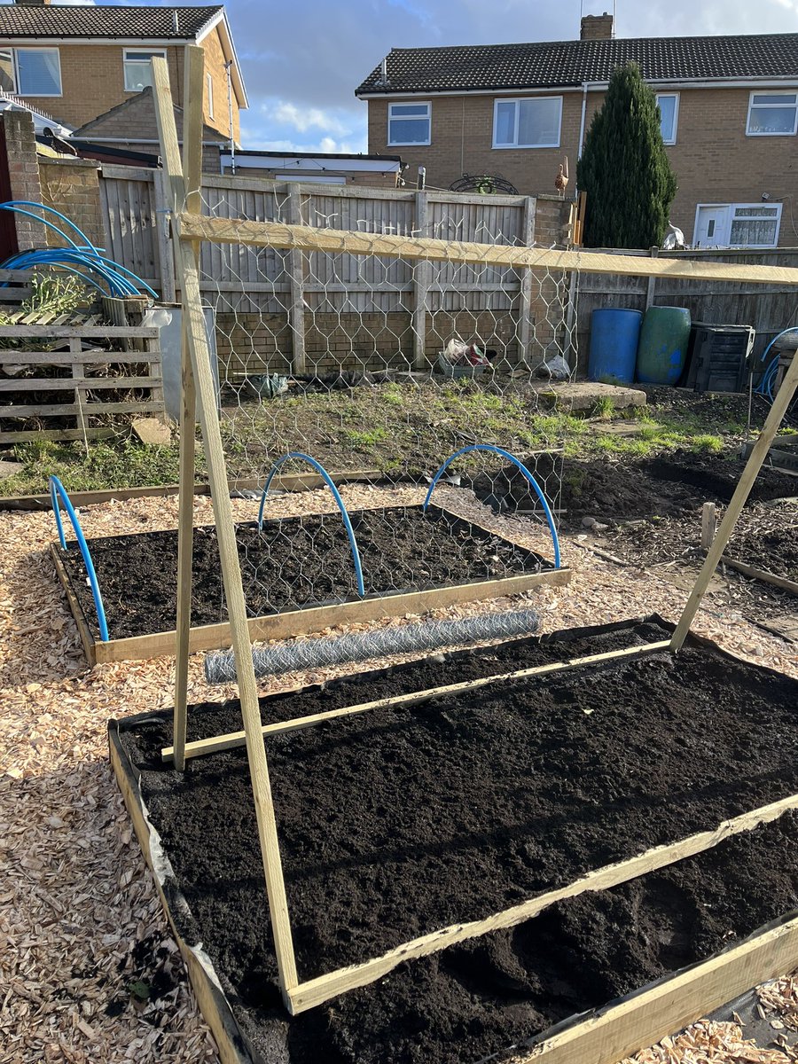 Growing peas this year. I decided to build my own frame from scratch! Not bad if I say so myself. 💪 #GardeningX #GardenersWorld #DIY #GrowYourOwn