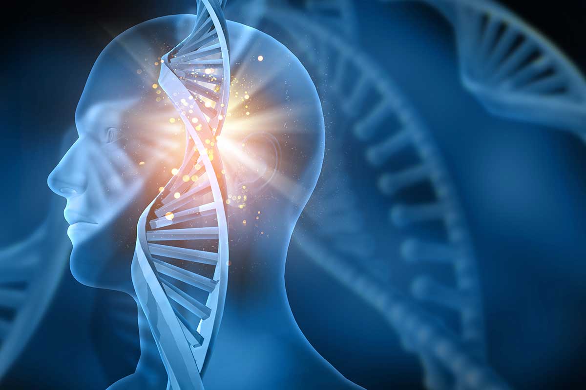 RarasReales's tweet photo. Investigación #EnfermedadesRaras

Investigadores logran identificar un engranaje bioquímico clave para el desarrollo de la #EnfermedadDeHuntington. El hallazgo facilitará su diagnóstico antes de su aparición y el desarrollo de dianas terapéuticas.

https://t.co/dNGkwmPl30 https://t.co/h93T9kRPb3